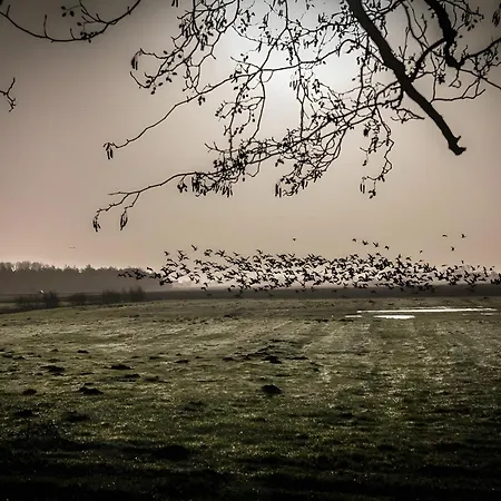 Kleines Mehr Lägenhet Südbrookmerland